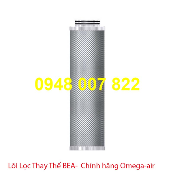 Lõi Lọc Khí BTS-0032 CA  (BEA BST)